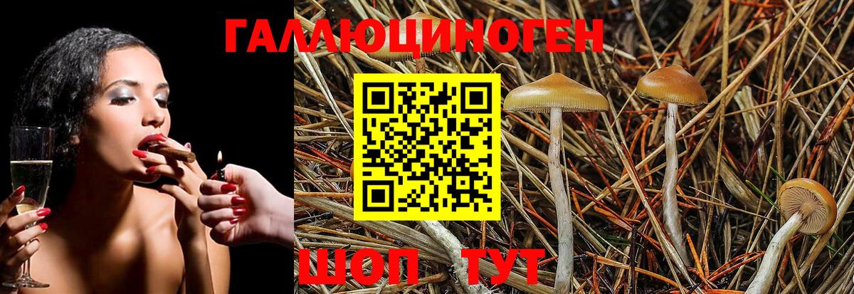 Галлюциногенные грибы Magic Shrooms Лесозаводск